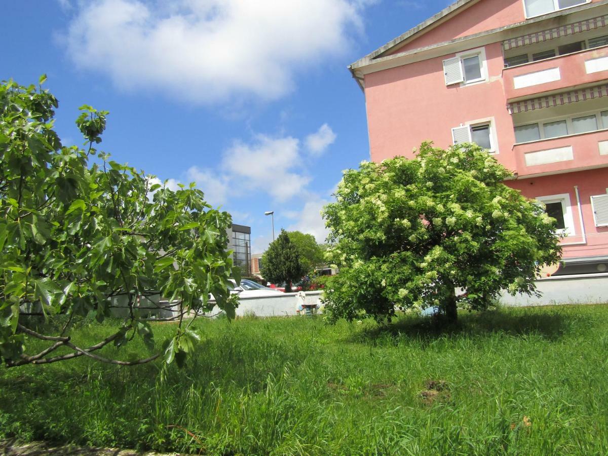 Green Garden Apartments Rovinj Dış mekan fotoğraf
